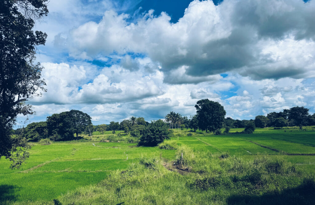 A Sri Lankan village was offered help from the UN’s Green Climate Fund ...
